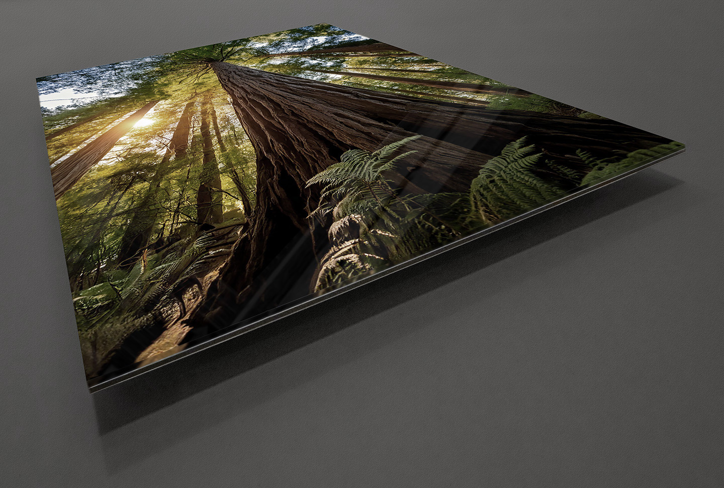 Acrylic Facemount Print