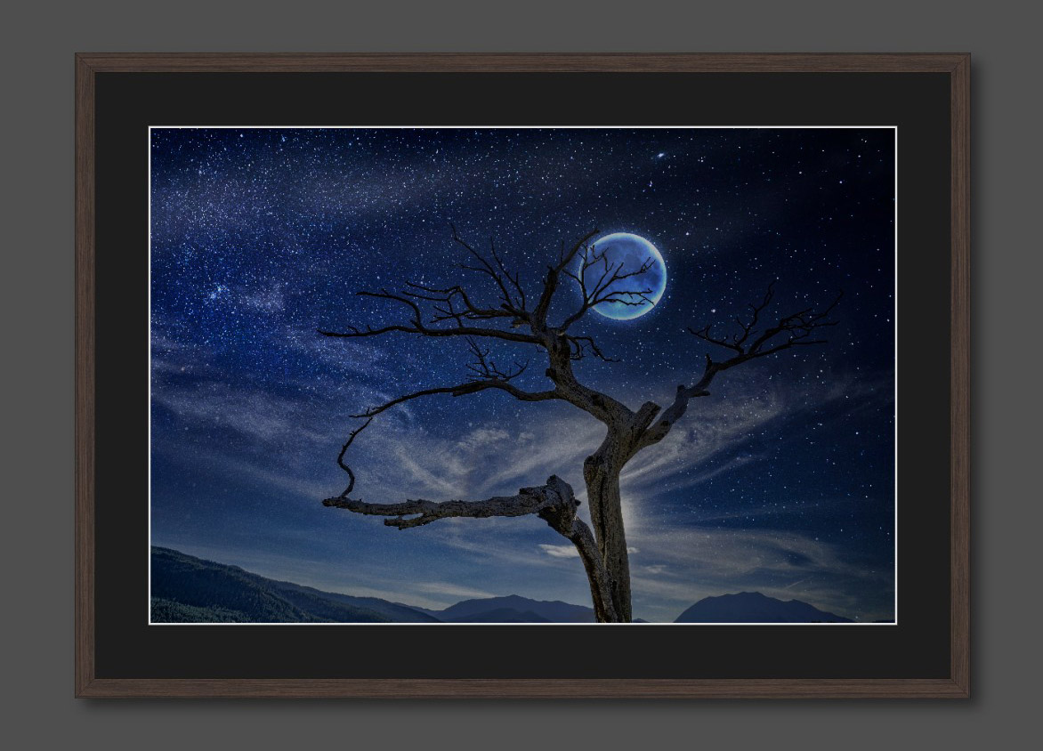 Framed Paper Print Main