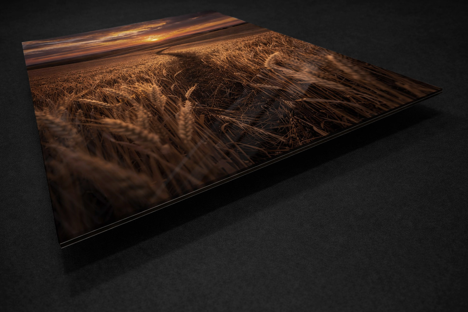 Acrylic Facemount Print